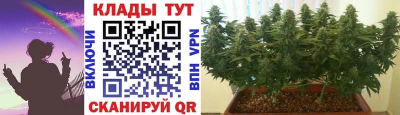 Где купить Ворсма Альфа ПВП Кокаин ГАШ Галлюциногенные грибы Амфетамин Конопля МЕФ