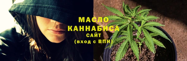 амф Верея