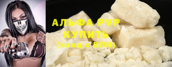амф Верея