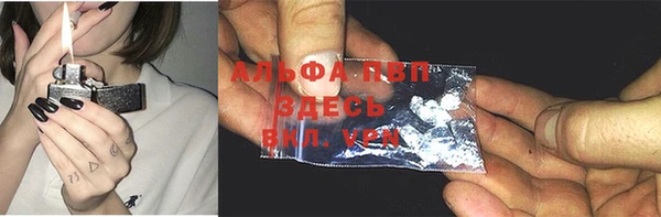 амф Верея