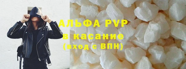 амф Верея