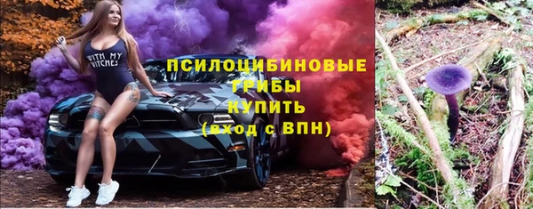 дурь Сатка