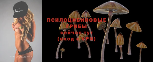 jwh Верхний Тагил