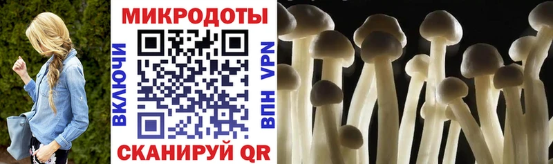 Псилоцибиновые грибы ЛСД  цены   Ворсма 